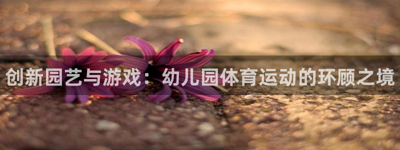 创新园艺与游戏：幼儿园体育运动的环顾之境