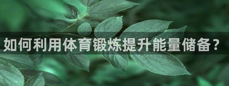如何利用体育锻炼提升能量储备？